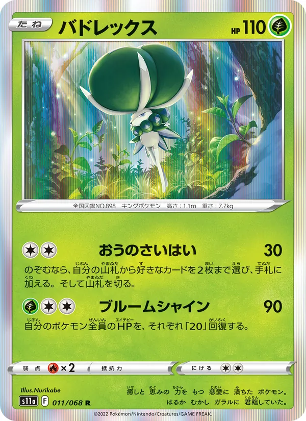 バドレックス 011/68