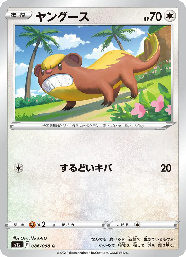 ヤングース 086/98