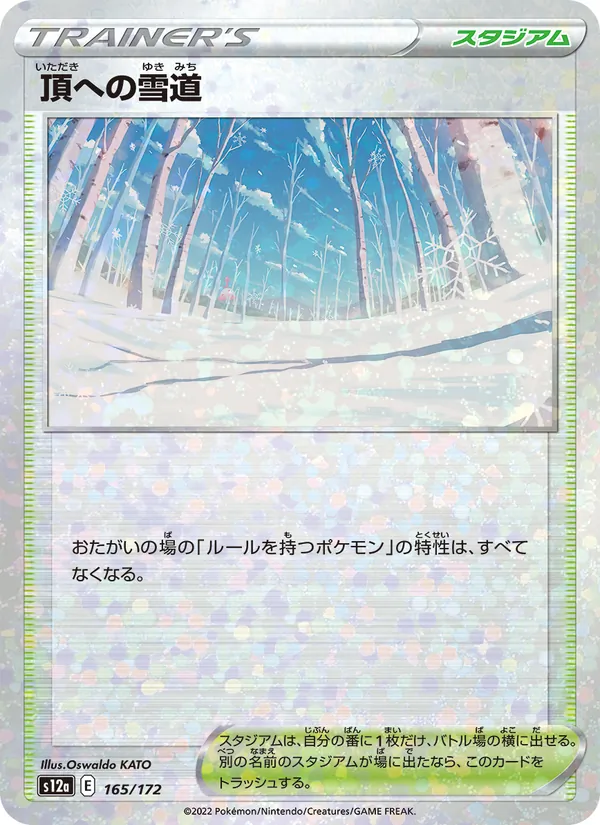 頂への雪道 165/172