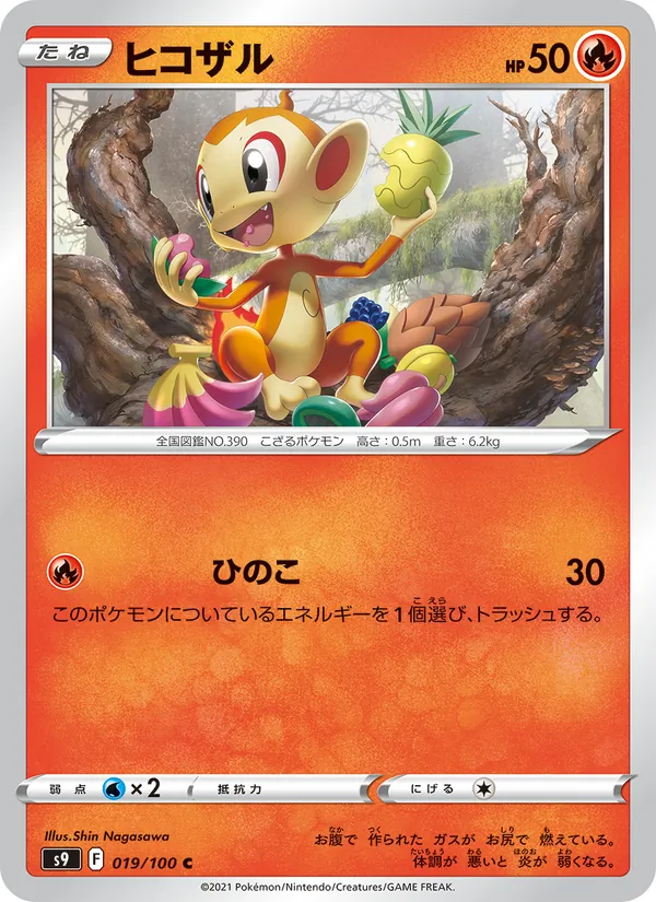 ヒコザル 019/100