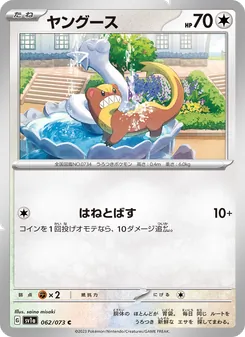 ヤングース