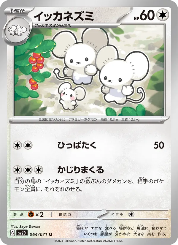 イッカネズミ 064/71
