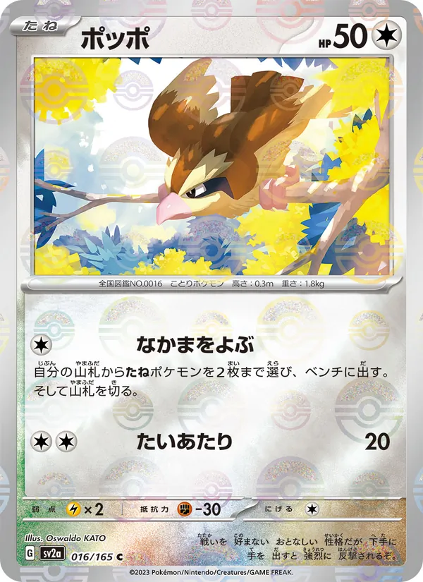 ポッポ 016/165