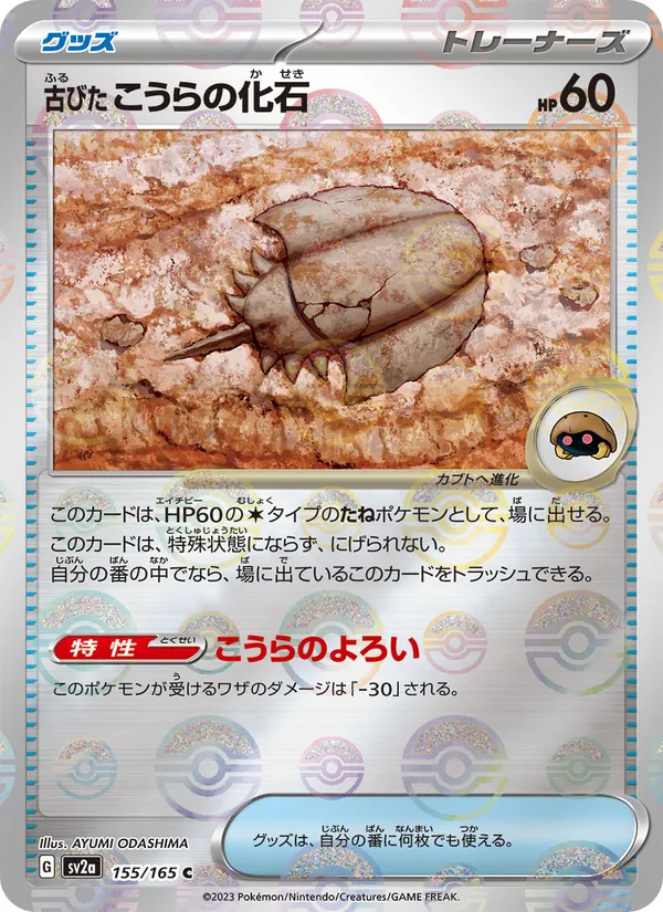 古びたこうらの化石 155/165