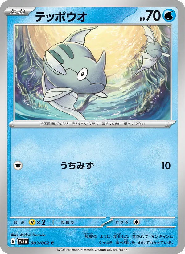 テッポウオ 003/62