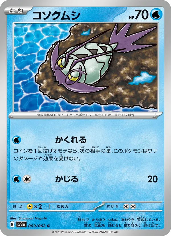 コソクムシ 009/62