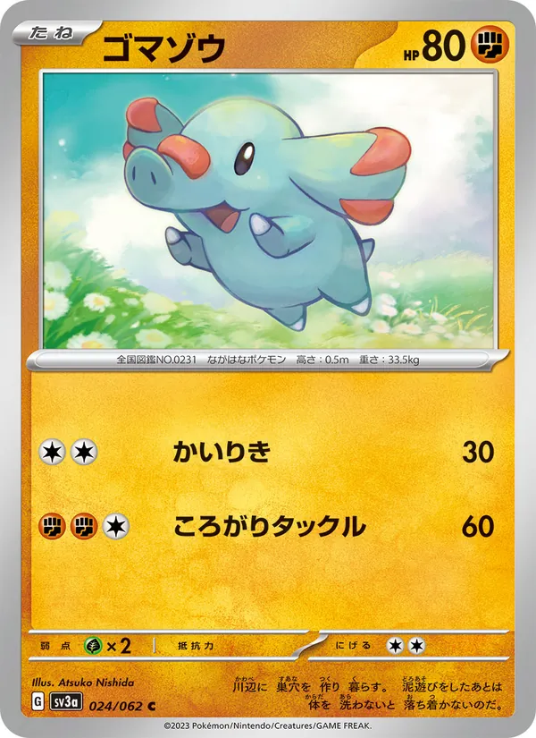 ゴマゾウ 024/62