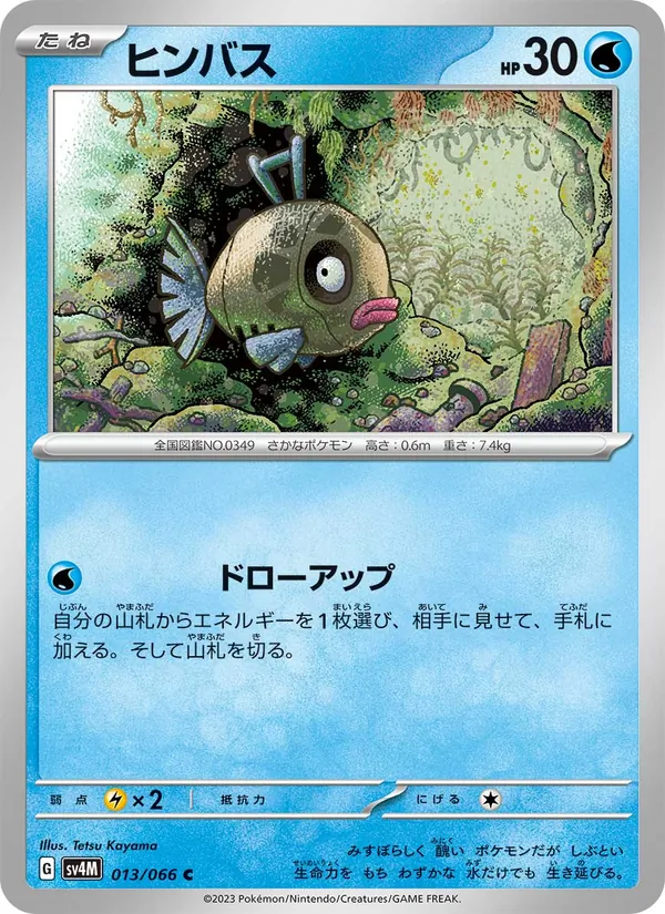 ヒンバス 013/66