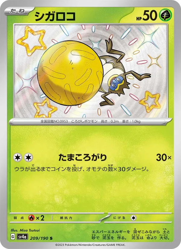 シガロコ 209/190