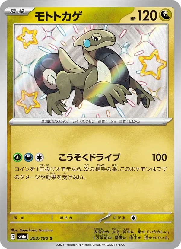 モトトカゲ 303/190