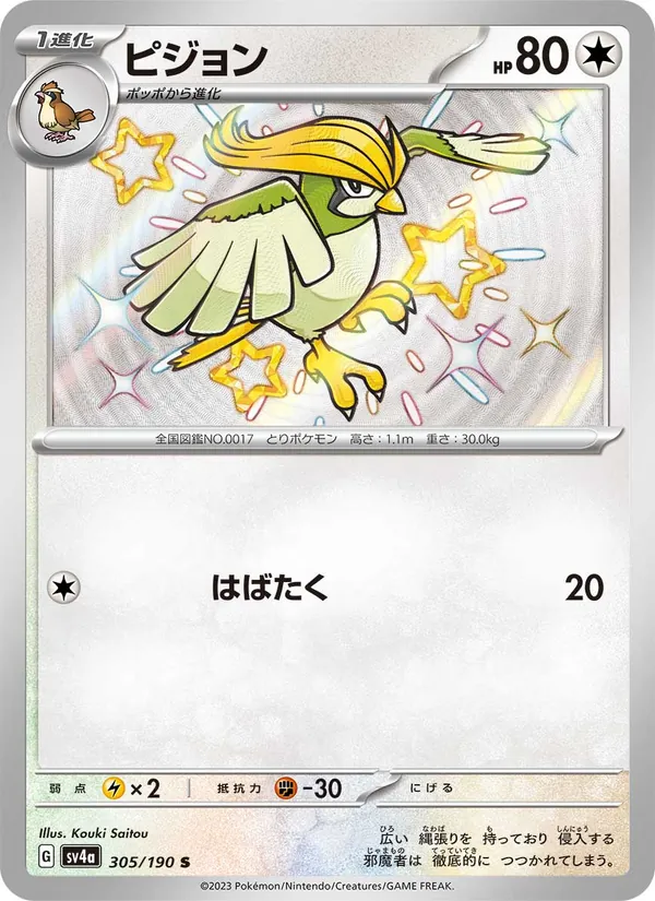 ピジョン 305/190