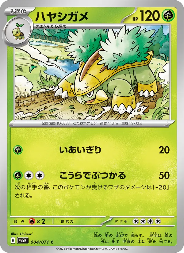 ハヤシガメ 004/71