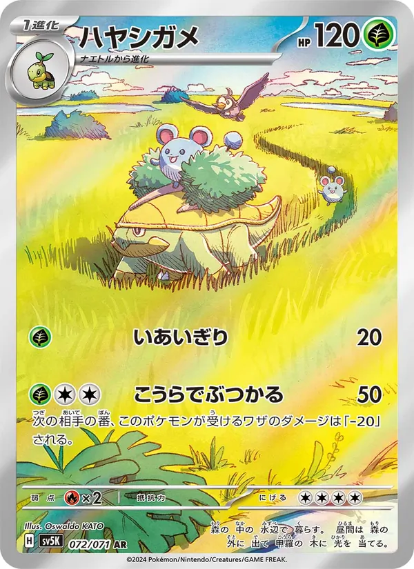 ハヤシガメ 072/71