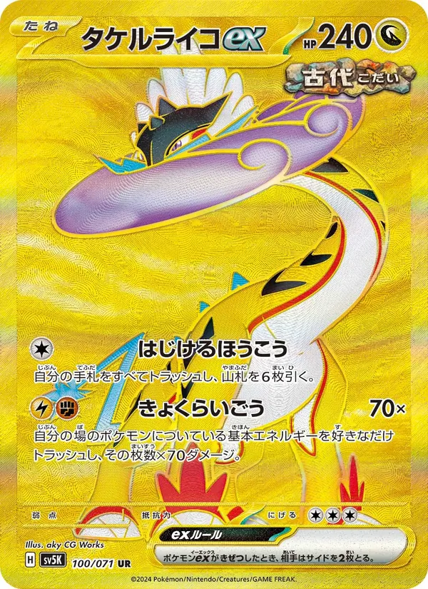 タケルライコex 100/71