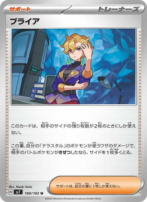 ブライア 100/102