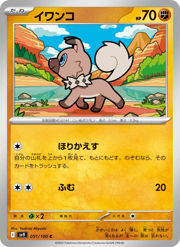 イワンコ 051/100
