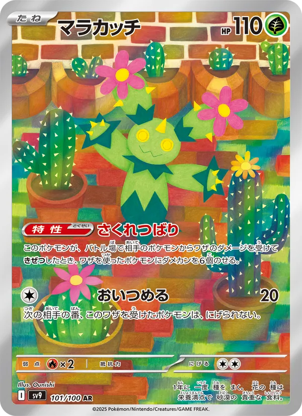 マラカッチ 101/100