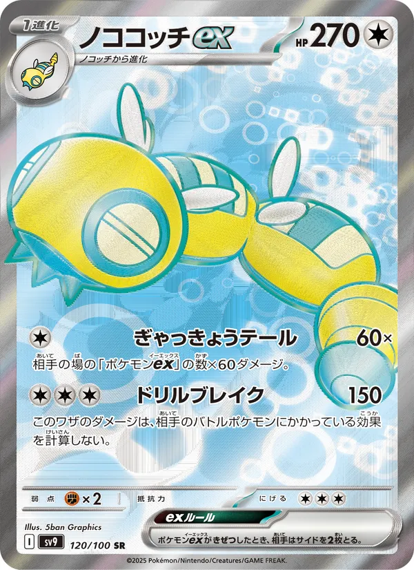 ノココッチex 120/100