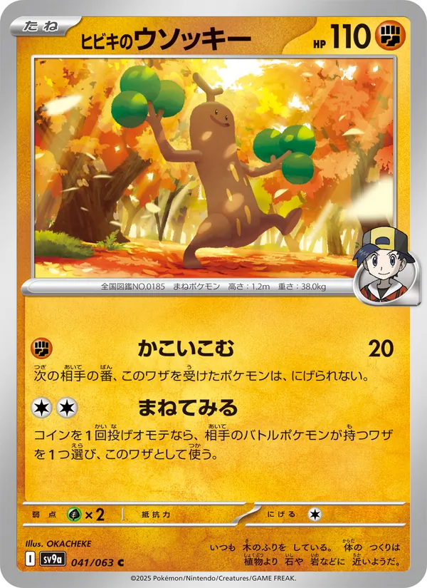 ヒビキのウソッキー 041/63