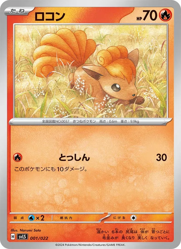 ロコン 001/22