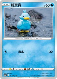 鴨寶寶