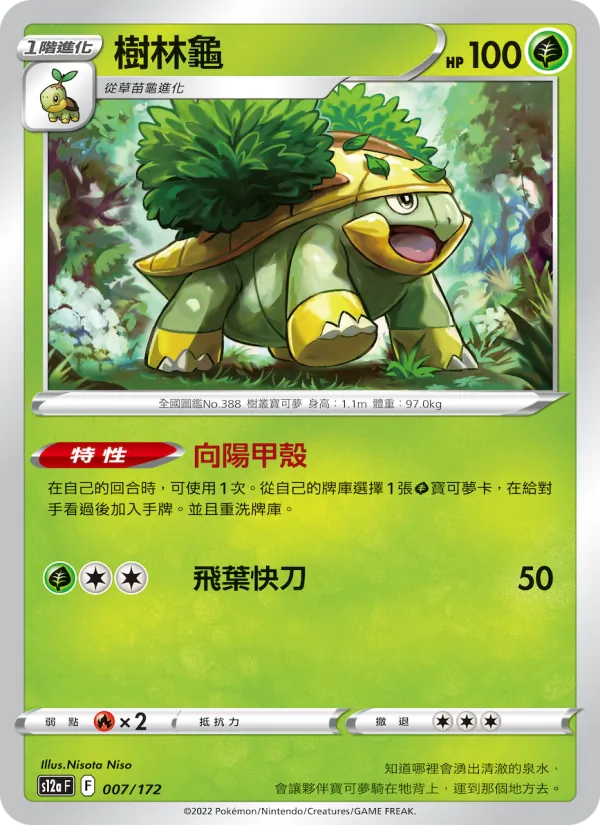 樹林龜 007/172