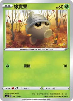 橡實果