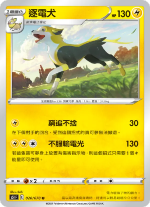逐電犬 020/70