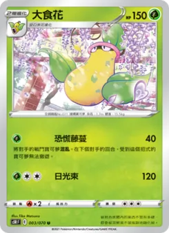 大食花