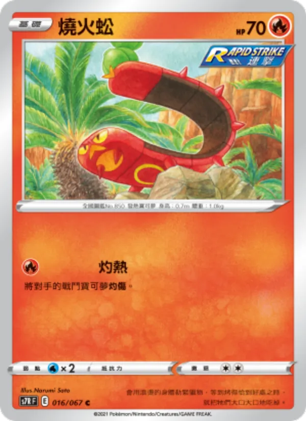 燒火蚣 016/67