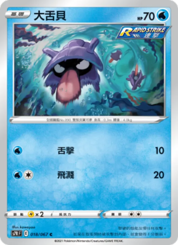 大舌貝 018/67
