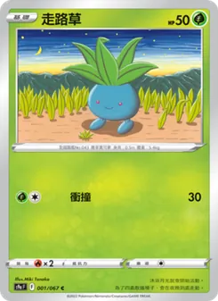 走路草