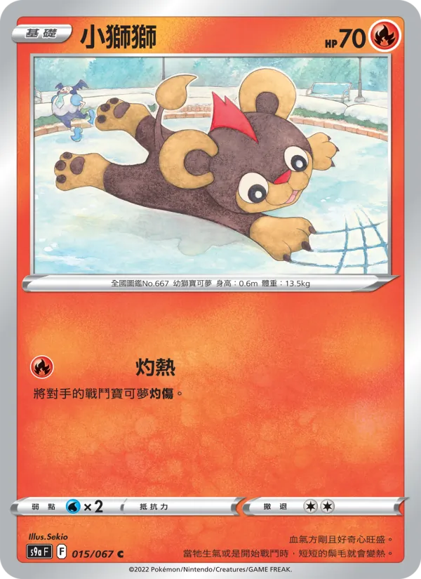 小獅獅 015/67