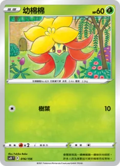 幼棉棉