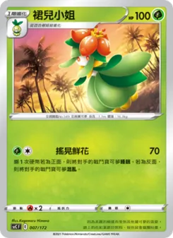 裙兒小姐