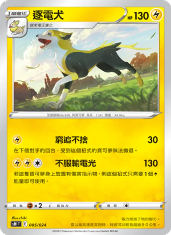 逐電犬 005/24