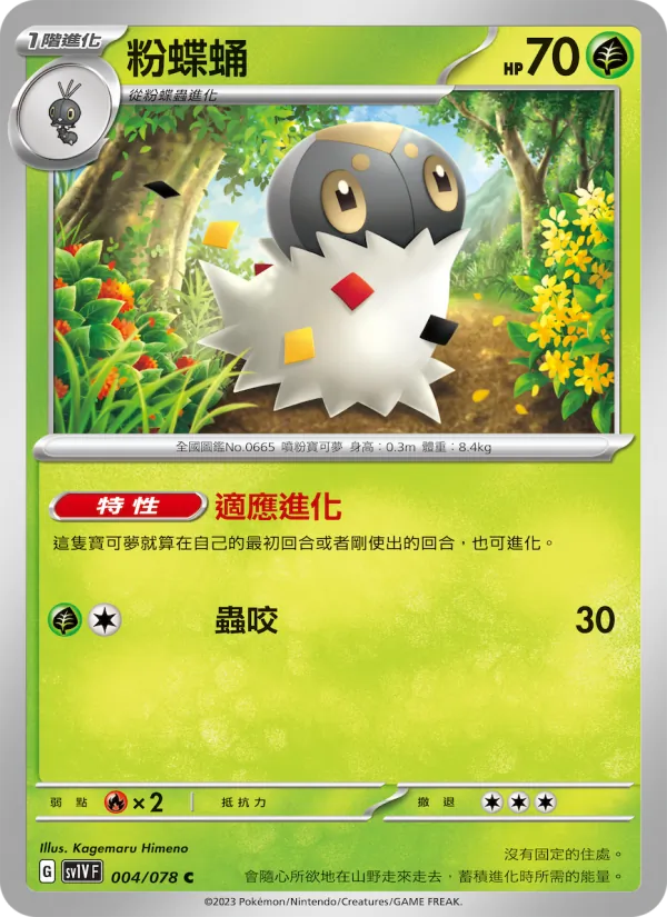 粉蝶蛹 004/78