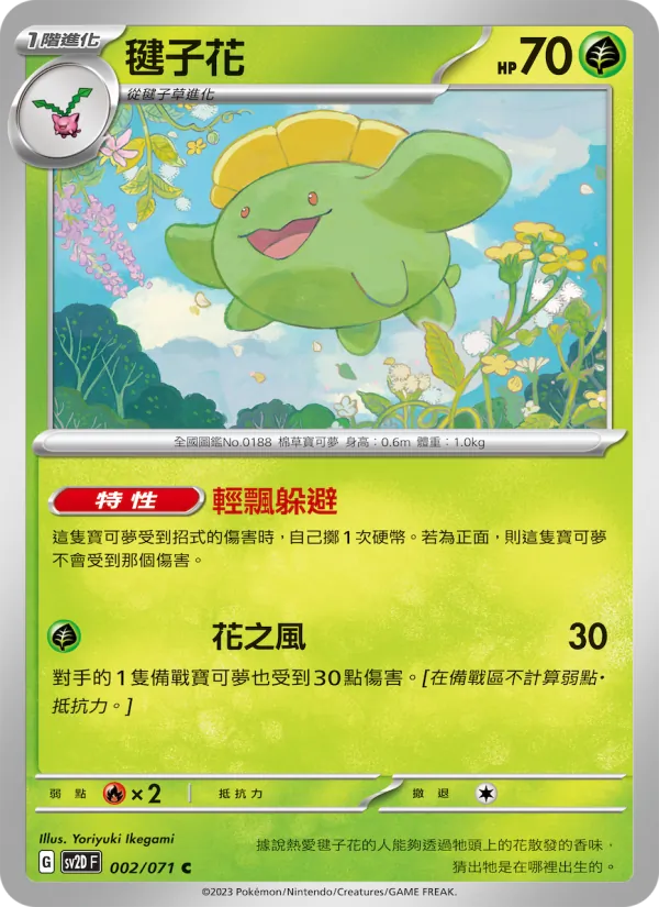 毽子花 002/71