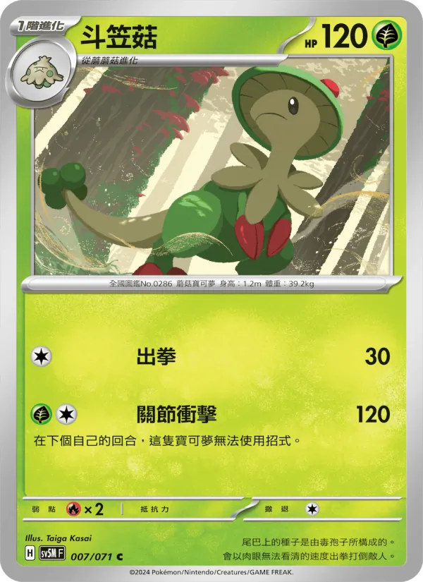 斗笠菇 007/71