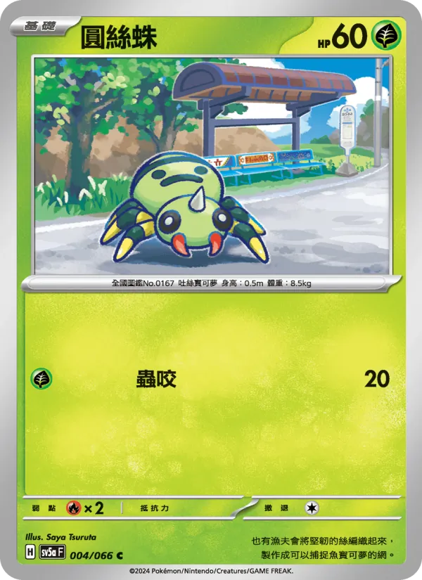 圓絲蛛 004/66