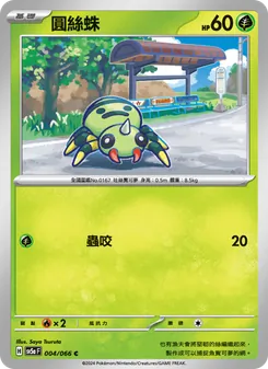 圓絲蛛