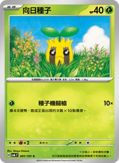 向日種子