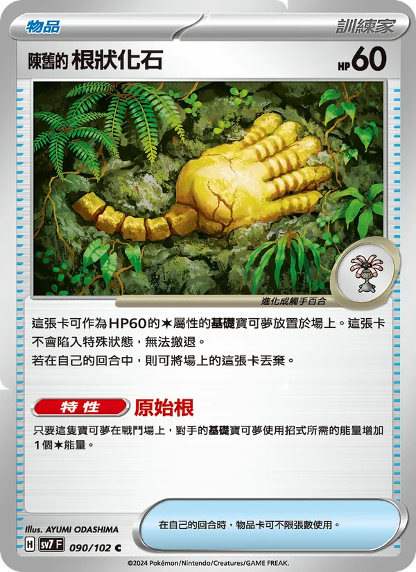 陳舊的根狀化石 090/102