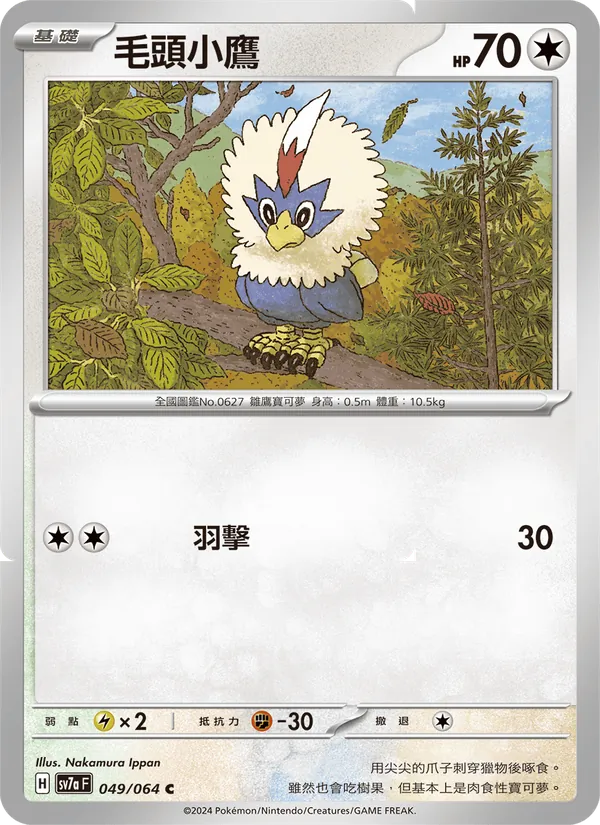 毛頭小鷹 049/64