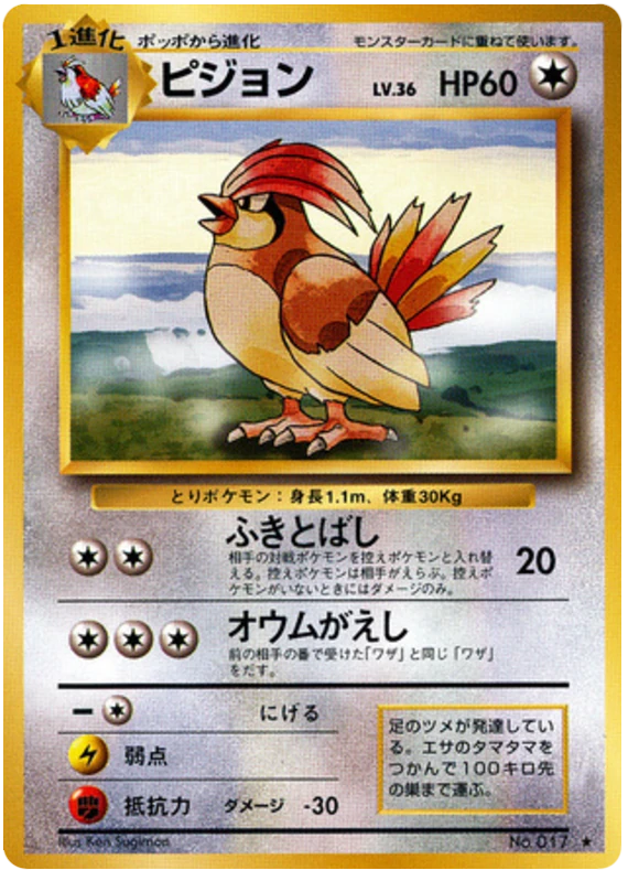 ピジョン