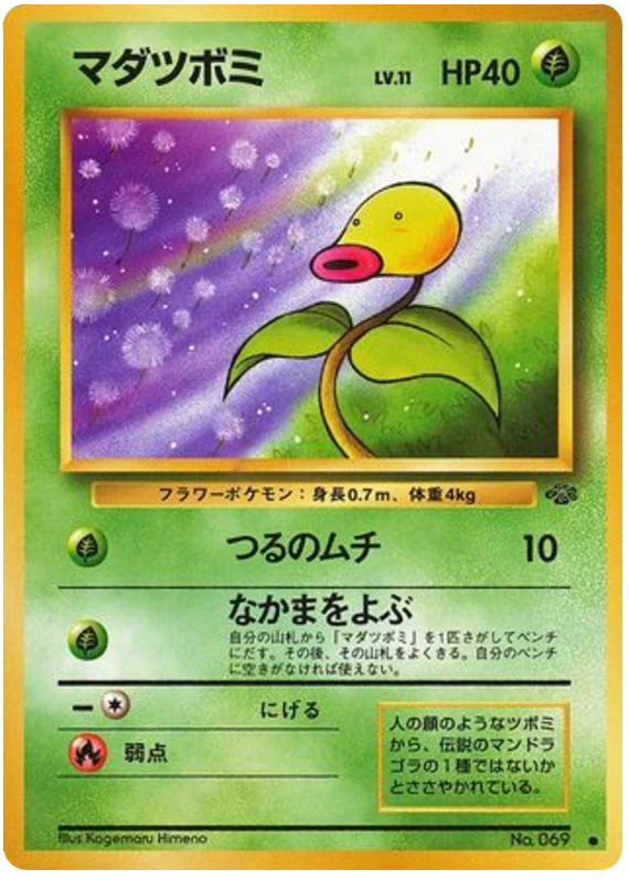 マダツボミ