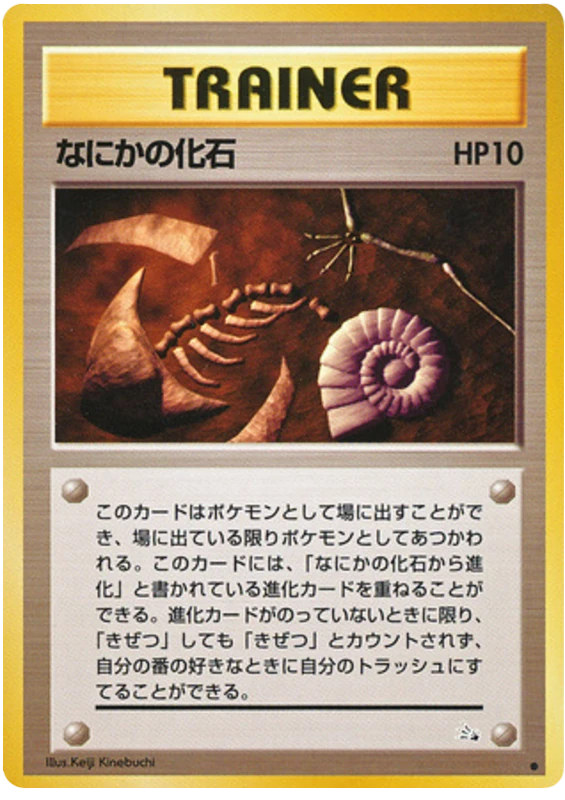 なにかの化石