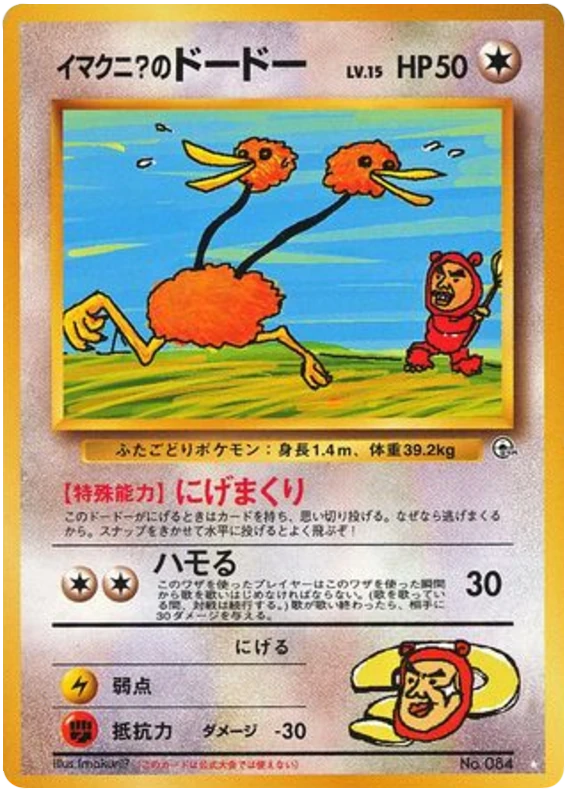 イマクニ？のドードー