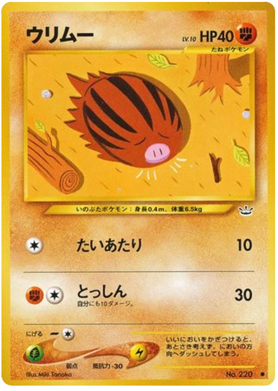 swinub