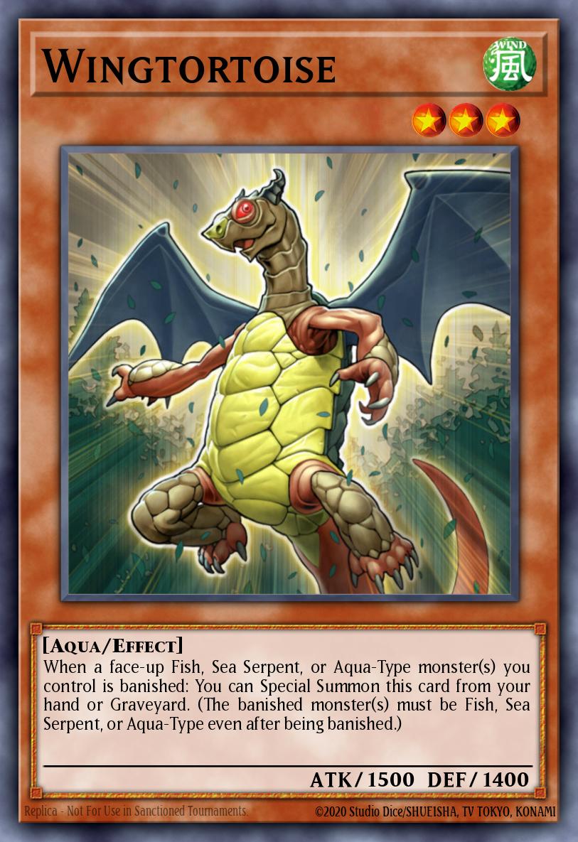 Wingtortoise GENF-EN022